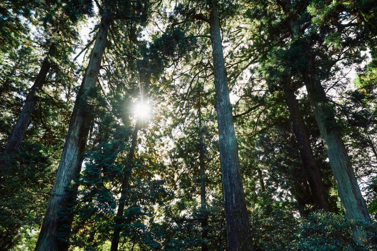 Villa Hakone Kabuto 古民家旅館 150平米 バス停迄一分 準天然温泉 最大12名 Kültér fotó