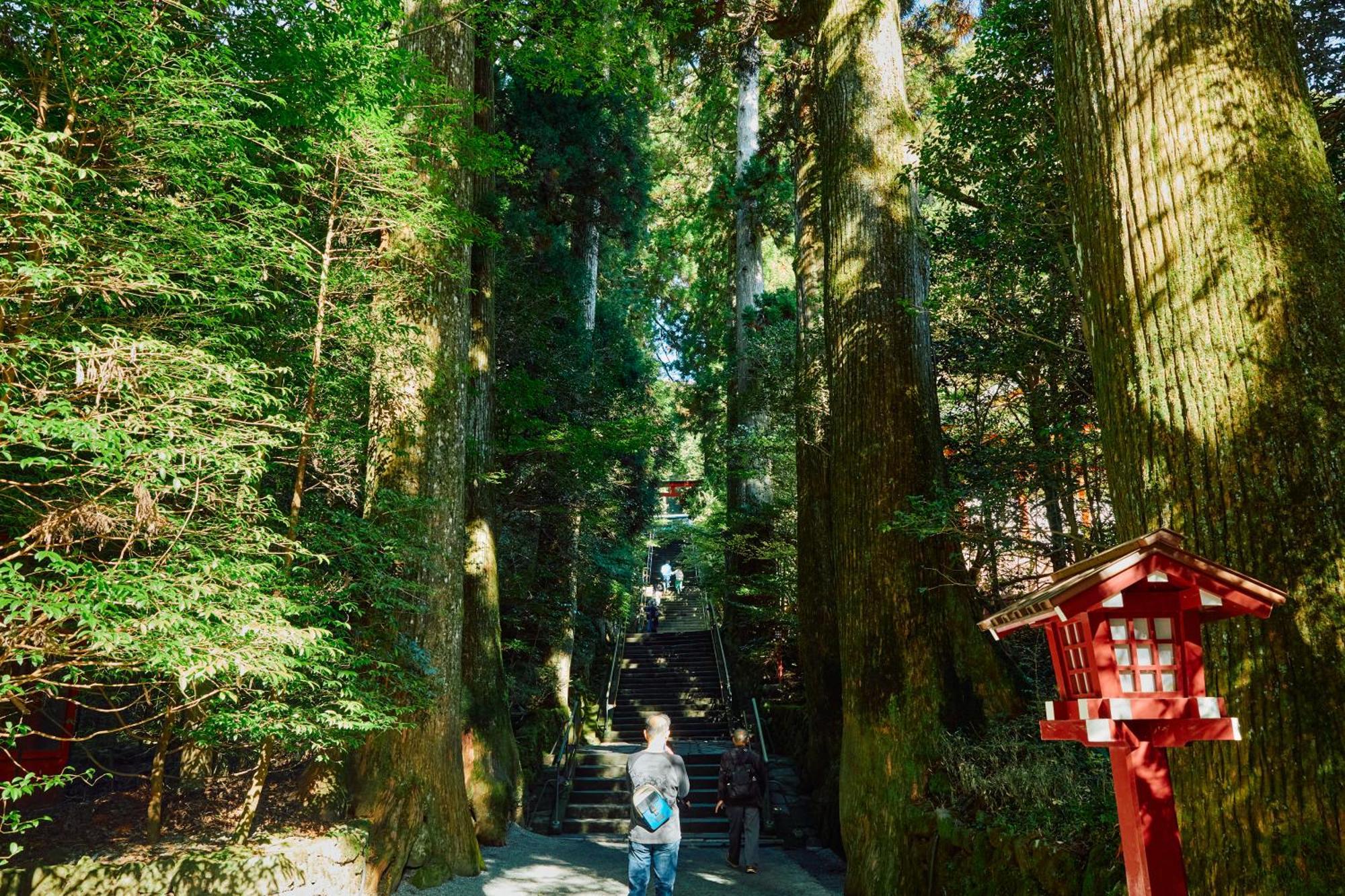 Villa Hakone Kabuto 古民家旅館 150平米 バス停迄一分 準天然温泉 最大12名 Kültér fotó